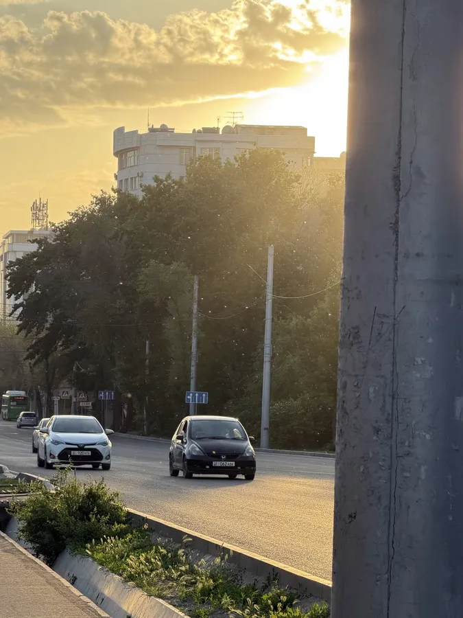 Мы ищем поставщика для поставки медиа оборудования