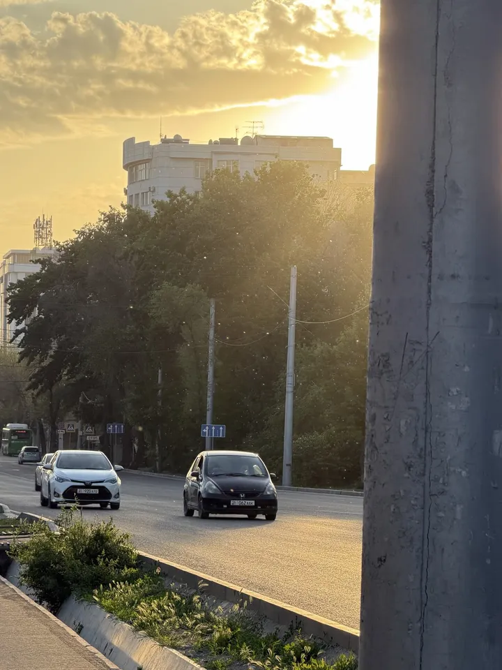 Мы ищем поставщика для поставки медиа оборудования